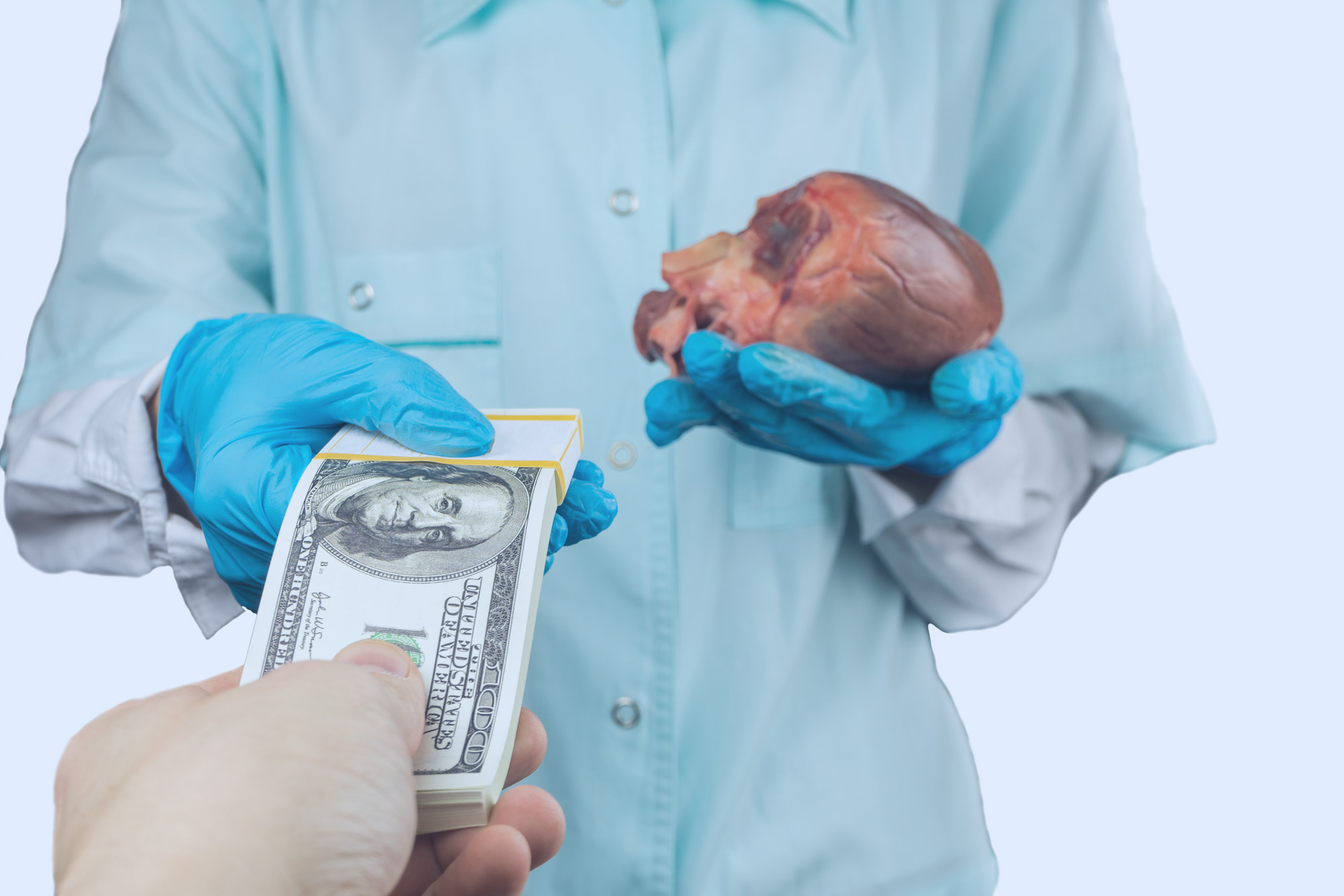 Human Organs for Sale | Buy Human Organs Online